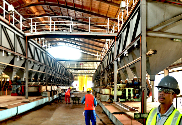 Palm Kernel Press Processing Line