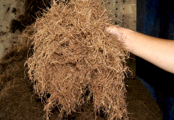 Palm Fiber Production Line