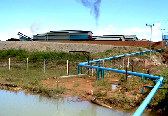 40TMH Palm Fruit Press Plant